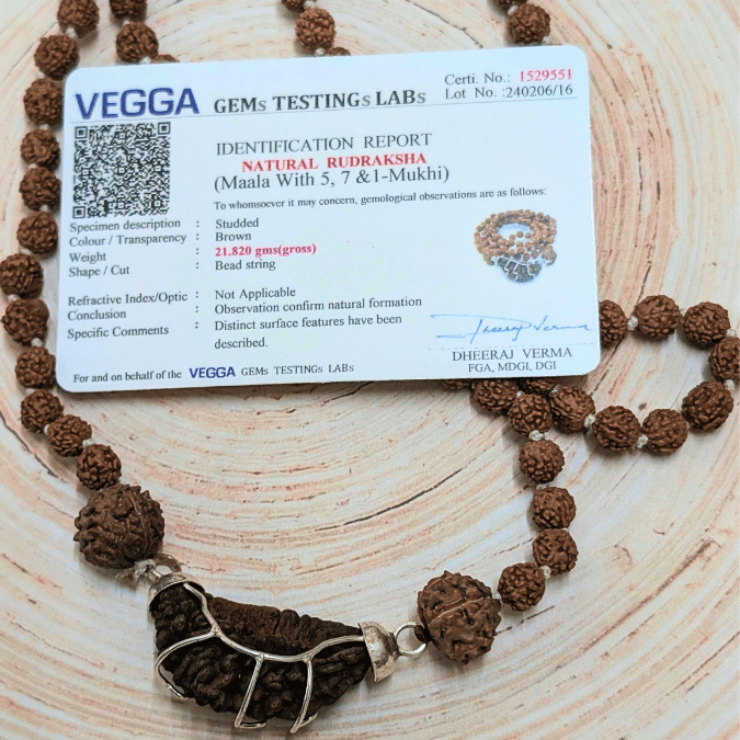 Triveni Shakti Rudraksha Mala – Gyaan, Dhan & Divya Kripa (1 Mukhi, 5 Mukhi & 7 Mukhi Rudraksha)