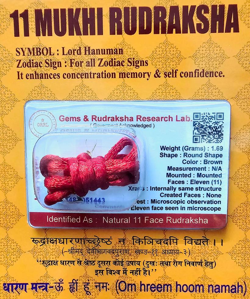 11 Mukhi Rudraksha For Clear Communication & Confidence