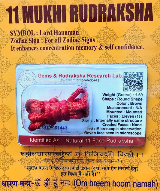 11 Mukhi Rudraksha For Clear Communication & Confidence