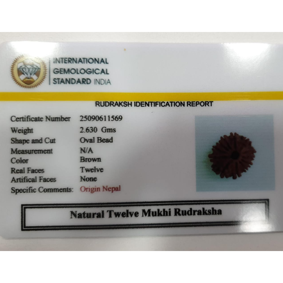 नेतृत्व और जीवन शक्ति के लिए 12 मुखी रुद्राक्ष