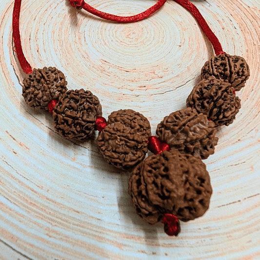 7 Mukhi Rudraksha Mala(Certified) – Attract Wealth, Stability & Spiritual Power