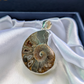 Ammonite with 925 Sterling Silver Pendant - • Ancient Energy • Wealth Magnet • Spiritual Evolution