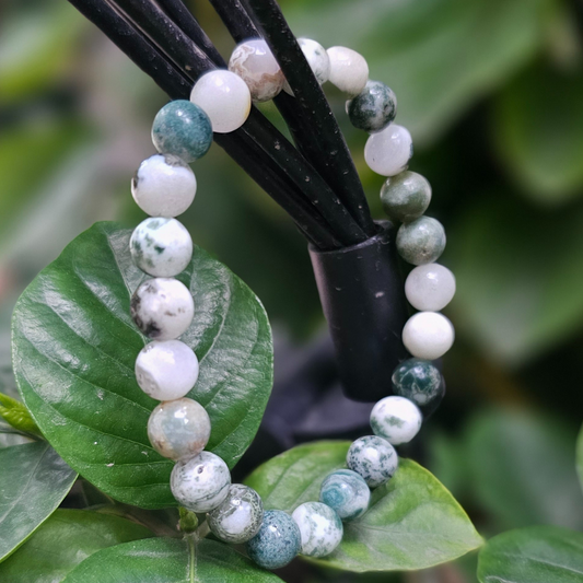 Tree Agate Bracelet For Physical Healing