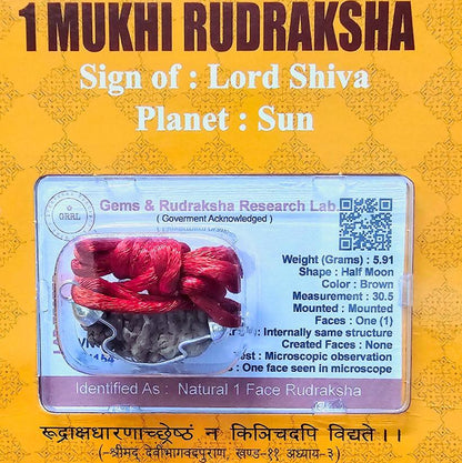 एक मुखी प्रमाणित रुद्राक्ष एकता और ज्ञान के लिए