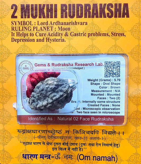 2 MUKHI CERTIFIED RUDRAKSHA For Harmony & Relationships