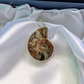 Ammonite with 925 Sterling Silver Pendant - • Ancient Energy • Wealth Magnet • Spiritual Evolution