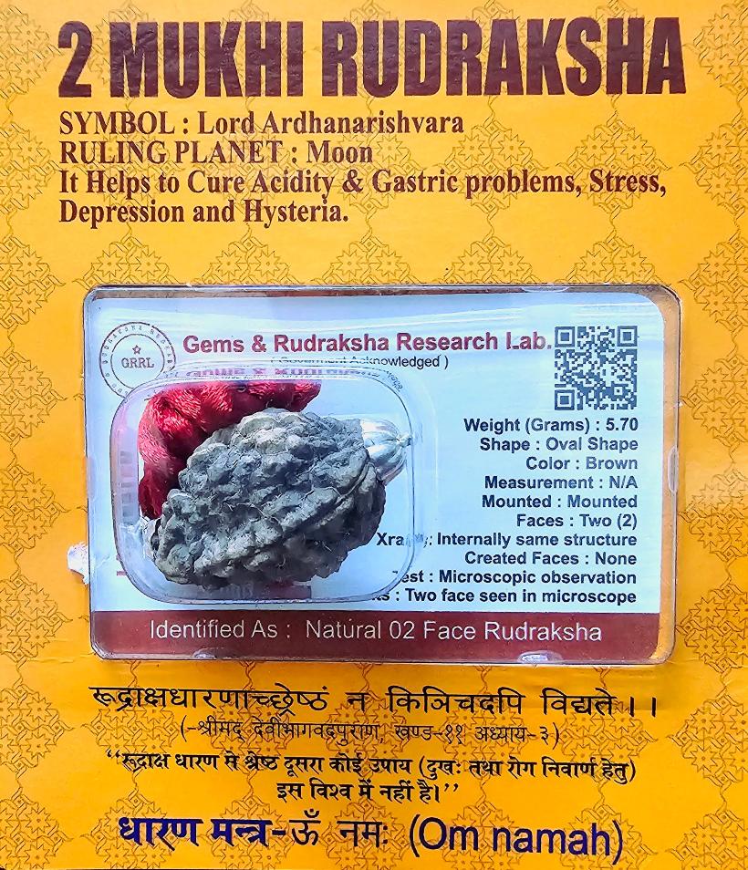 2 MUKHI CERTIFIED RUDRAKSHA For Harmony & Relationships