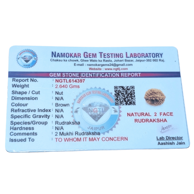 2 mukhi rudraksha bead for positive connection