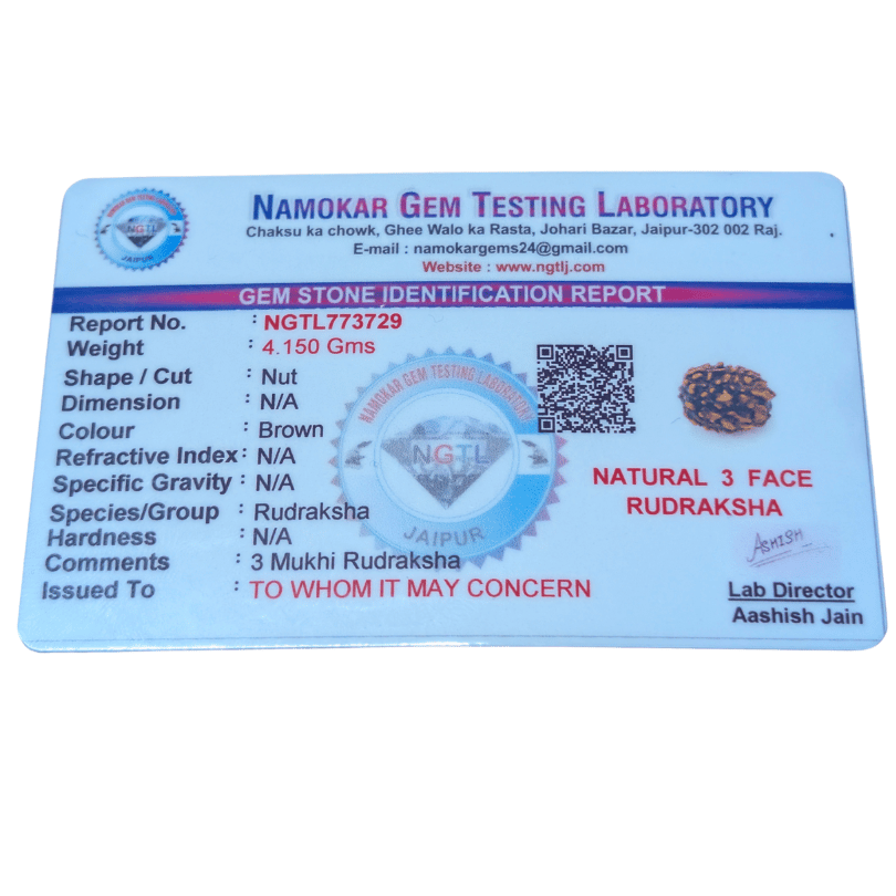 3 mukhi rudraksha for confidence and positivity