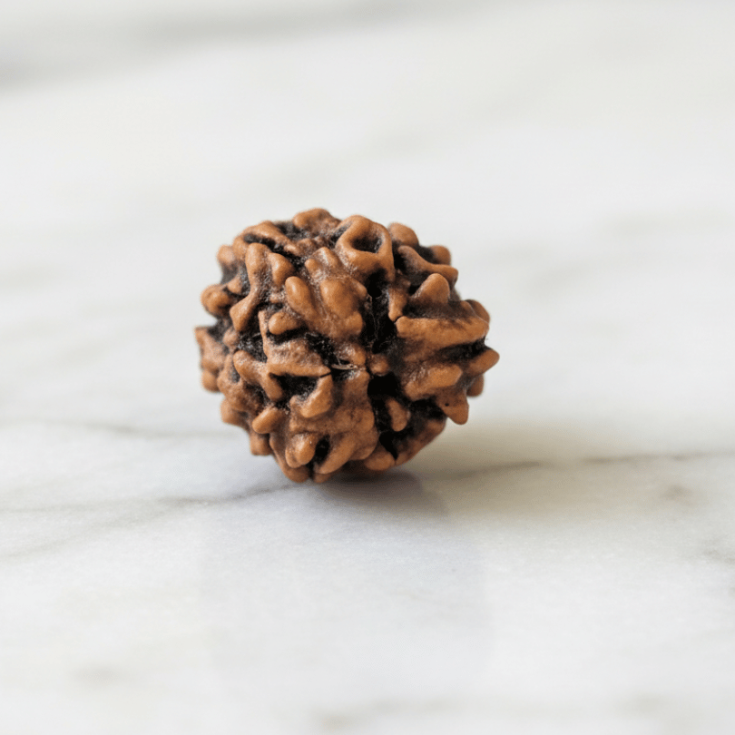 3 mukhi rudraksha for confidence and positivity
