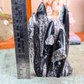 Orthoceras Fossil Free Form Tower For Wisdom & Past-Life Connection