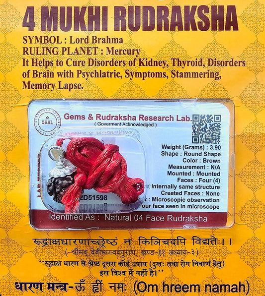 4 MUKHI CERTIFIED RUDRAKSHA For Wisdom & Creativity