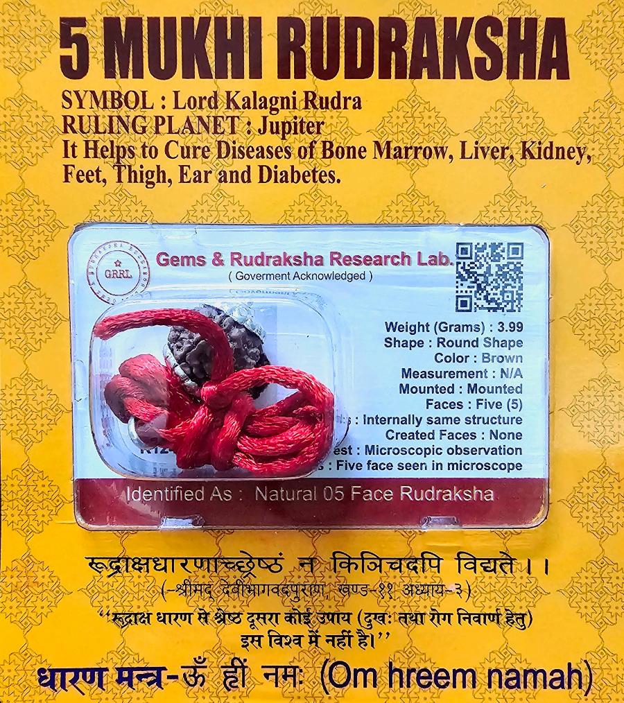 5 MUKHI CERTIFIED RUDRAKSHA For Health & Stress relief