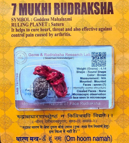 7 MUKHI CERTIFIED RUDRAKSHA For Wealth & Prosperity