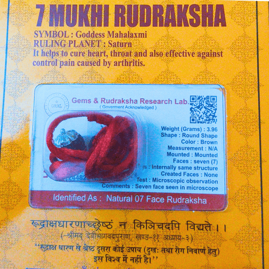 7 MUKHI CERTIFIED RUDRAKSHA For Wealth & Prosperity