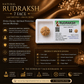 7 MUKHI RUDRAKSHA With Certificate For Wealth & Prosperity