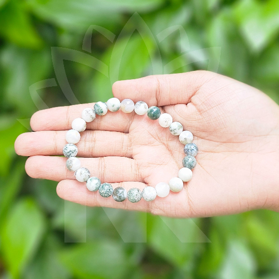 Tree Agate Bracelet For Physical Healing