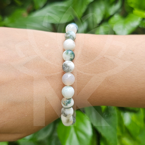 Tree Agate Bracelet For Physical Healing