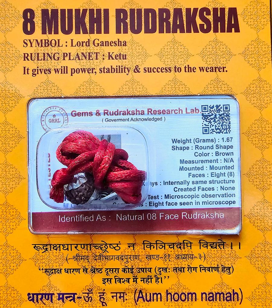 8 MUKHI CERTIFIED RUDRAKSHA For Stability & Willpower