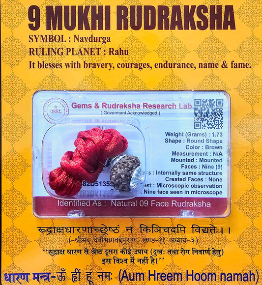 9 MUKHI CERTIFIED RUDRAKSHA For Dynamism & Fearlessness