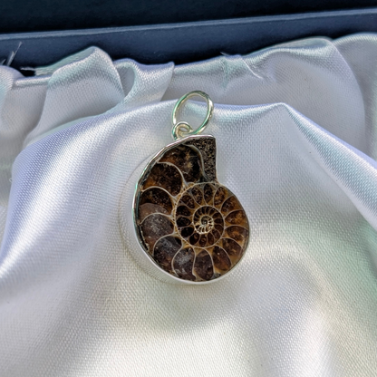 Ammonite fossil pendant on a silver chain against a white satin background