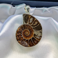 Fossilized ammonite pendant on a silver chain against a white satin background