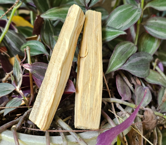 Palo Santo Stick Duo For Cleansing Crystals