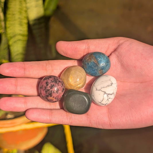 June Born Abundance Kit