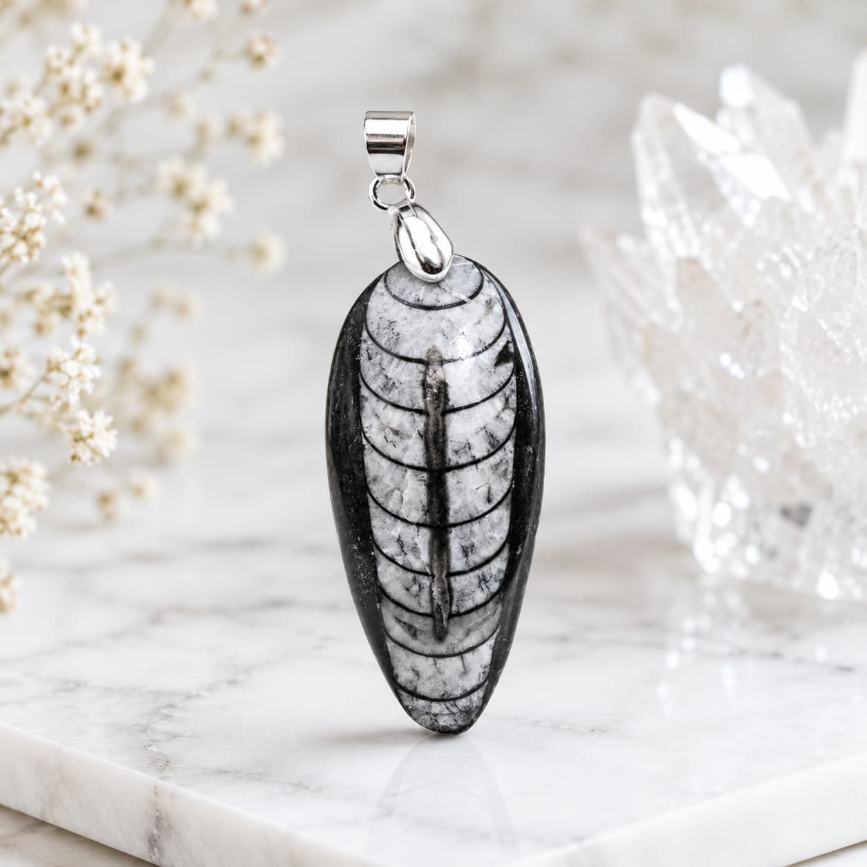 Orthoceras Kuber fossil pendant for prosperity, protection and positive energy