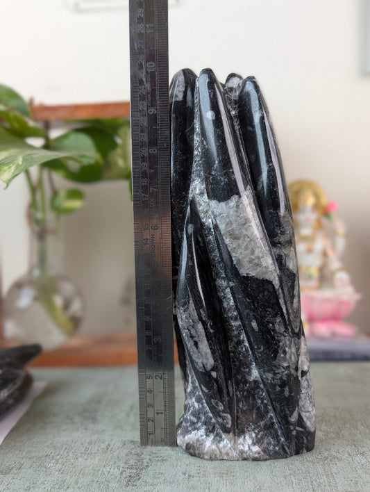 Orthoceras fossil free form tower displayed on a table, predominantly black in color with natural patterns.