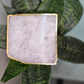 Rose quartz Coaster For Infuse Love and Positive Energy