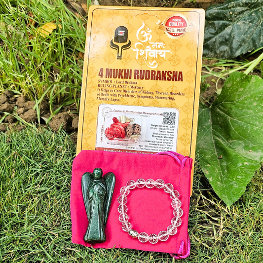 Success Kit - Job/Exams/Career - Dr. Neeti Kaushik's Shop