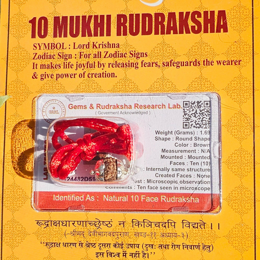 10 MUKHI RUDRAKSHA TO to Relieves From Loans & Losses