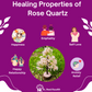 Rose Quartz Tree For Relaxation and Balance - Dr. Neeti Kaushik's Shop