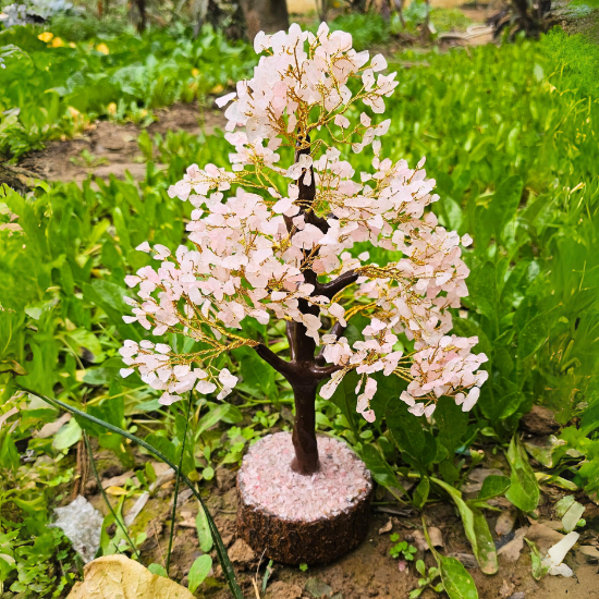 Rose Quartz Tree For Relaxation and Balance - Dr. Neeti Kaushik's Shop