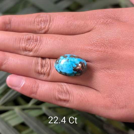 Turquoise stone on a hand with '22.4 Ct' label, against a blurred natural background