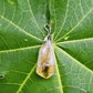 Citrine Raw Pendant For Attract Prosperity