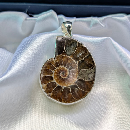 ammonite Silver Pendant - Ancient Energy • Wealth Magnet • Spiritual Evolution