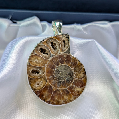 Fossilized ammonite pendant - Ancient Energy • Wealth Magnet • Spiritual Evolution