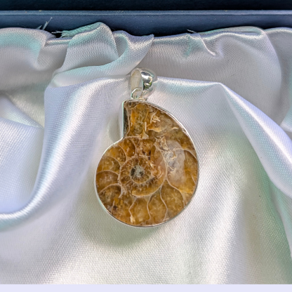 Fossil pendant - Ancient Energy • Wealth Magnet • Spiritual Evolution