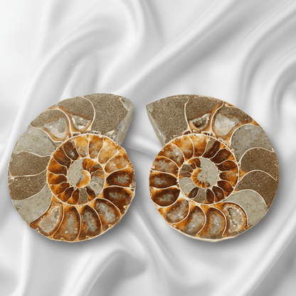 Septarian Egg for grounding, emotional balance, and spiritual protection. 