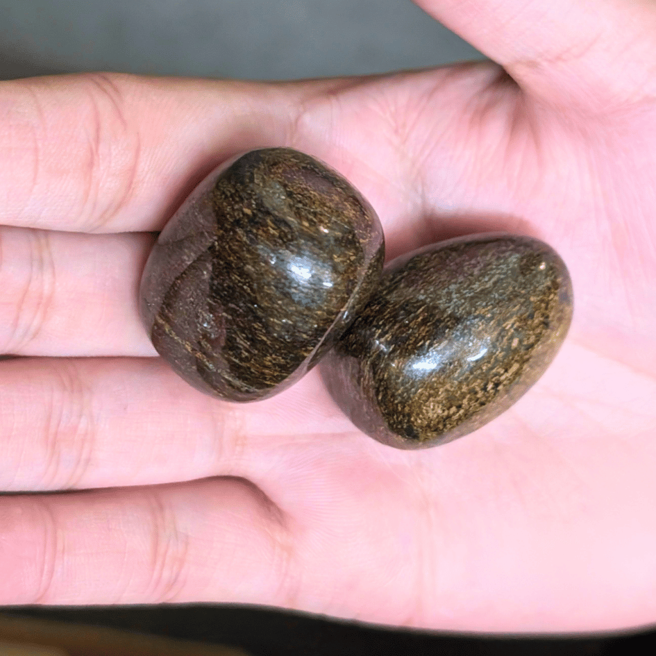Bronzite Crystal Tumbles Set of 2 for Protection & Confidence
