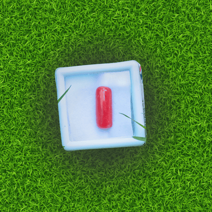 लाल मूंगा AAA प्रीमियम गुणवत्ता