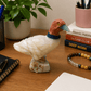Crystal Duck Bird: Fluorite, Aragonite, Calcite & Chrysocolla