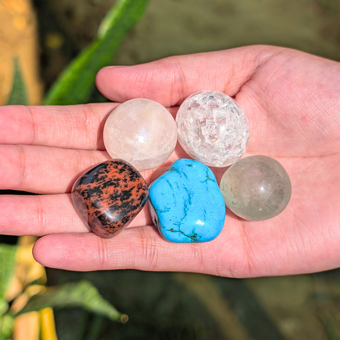 December Born Abundance Kit