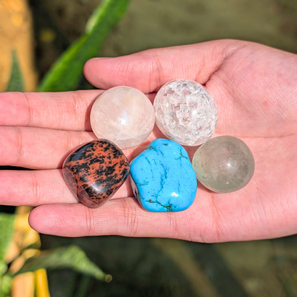 December Born Abundance Kit