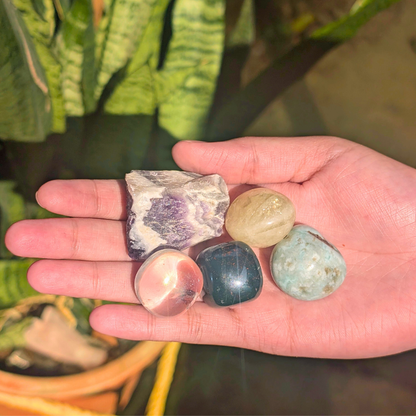 February Born Abundance Kit for balance empathy with strength, intuition with clarity, and dreams with grounded action