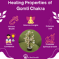 Gomti Chakra Tree For Abundance & Wealth