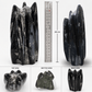Orthoceras Fossil Free Form Tower For Wisdom & Past-Life Connection