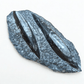 orthoceras fossil for grounding and ancient energy